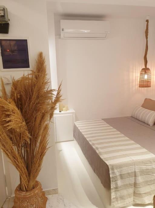 Amalthea Guest House Kos Exteriör bild